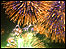 Fireworks in Plymouth