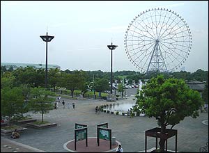 عکس از محسن جلالی