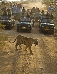 Veolia Environment Wildlife Photographer of the Year 2009 pertence ao Museu de História Natural e à revista BBC Wildlife