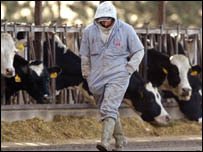 Fazenda afetada pela doença nos Estados Unidos