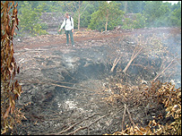 آتش سوزی جنگلها