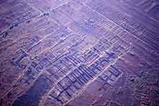 Whixhall and Fenn Moss