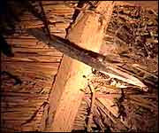Inside a thatched roof