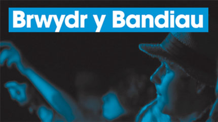 Brwydr y Bandiau 2010