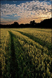 Foto: Take a View/ Divulgação