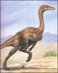 دايناسورد ها