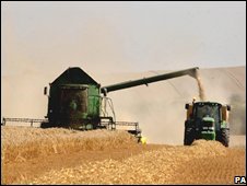 Làm nông nghiệp tại châu Âu