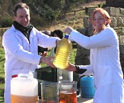 Producing alum crystals