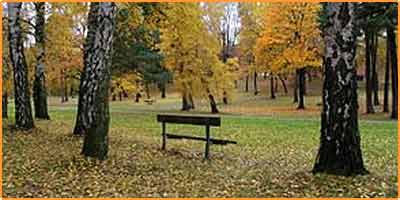 عکس از حميد