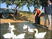 एक फ़्रार्म हाउस पर तालाब के किनारे बच्चे