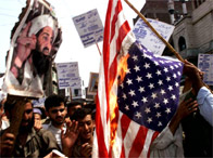 Protesters waving pictures of Osama bin Laden burn an American flag