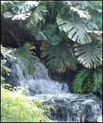 View of Stratford Butterfly Farm