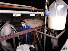 内蒙古呼和浩特附近某农村奶站(资料图片)