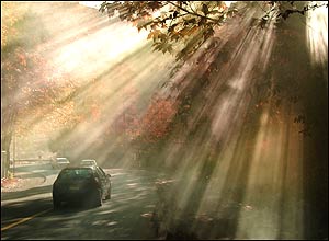 عکس از آرش عاشوری نيا