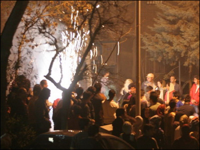 عکس از علیرضا واصفی