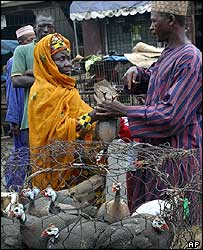 Nigeriana compra aves em mercado de Lagos