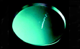 Biome by boredomresearch