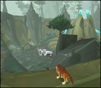 گرگ در کمين چوچه پلنگ ها