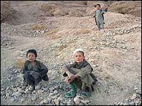 لنگلندز و بل پس از سقوط طالبان به افغانستان سفر کردند