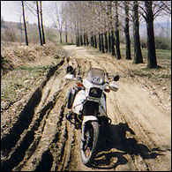offroad in Transylvania