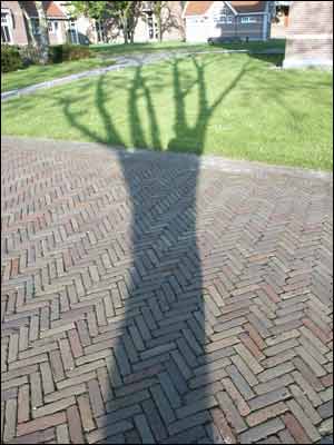 عکس از بامشاد هوشیانی