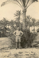 Elias dan goeden balmwydd