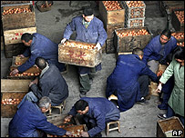 Funcionários empacotam ovos em uma fazenda particular de Luoyang, China