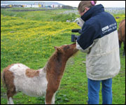 Roisin Gauson getting friendly with a pony