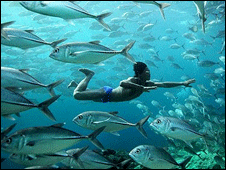 Sulbin, el pescador bajau (BBC)