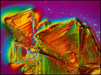 色素的偏振光显微图像