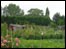 Allotments
