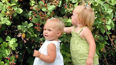 Plant yn hel mwyar duon