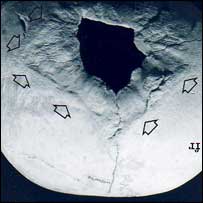 Crânio operado na era medieval