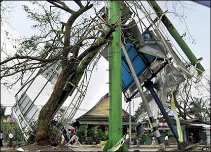 Cây đổ ở Rangoon