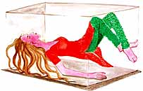 चित्रांकन - हेम ज्योतिका