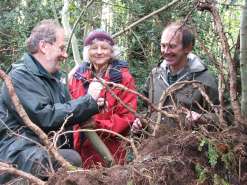 Lionel Kelleway, with Pat Denne and Nigel Brown inspecting tree roots at Treborth Botanic Garden