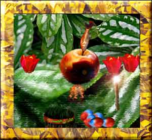 آرويد شيرانی