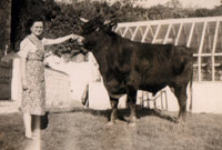 Brenda James (gynt Roberts) yn arddangos Y Tarw (Tua 1941) Llun trwy garedigrwydd Brenda James.