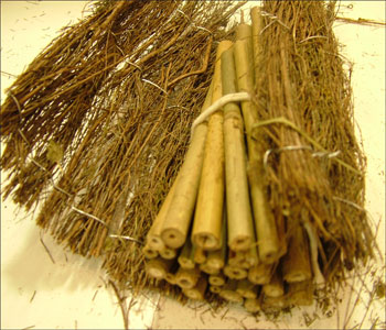 Wrapped bundle of canes