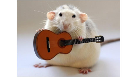 Foto: Ellen van Deelen