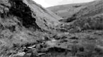 Rhondda landscape