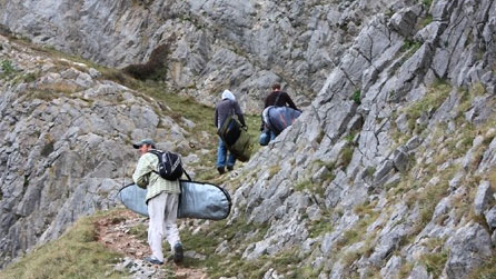 Image by Mark Evans Image by Mark Evans