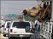 Congestionamento na saída de Houston