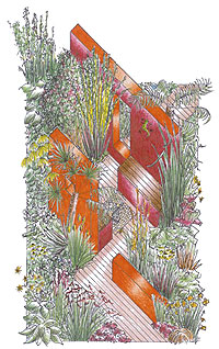The design for Janine's garden