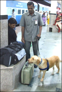 سکیورٹی( فائل فوٹو)