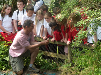 Iolo Williams yn dangos creaduriaid dwr i'r disgyblion.