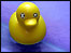 rubber duck