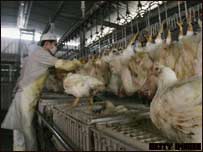 Trabalhador em fábrica