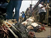 Chợ gia cầm Jakarta