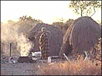 ساکنان کالاهاری